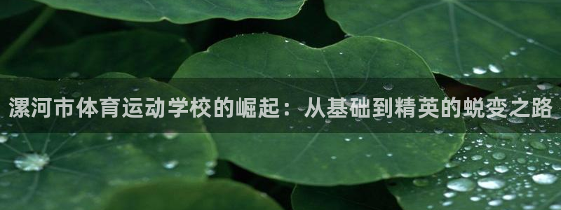 利记官网下载开户:漯河市体育运动学校的崛起:从基础到精英的蜕