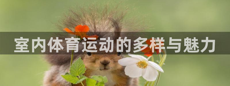 利记官方正版app集团logo:室内体育运动的多样与魅力