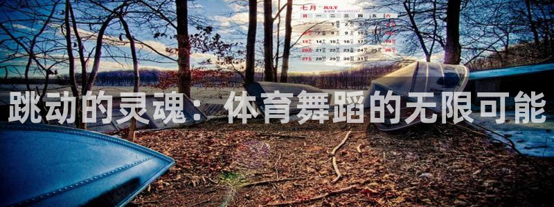 利记官网下载平台是正规平台吗知乎:跳动的灵魂:体育舞蹈的无限